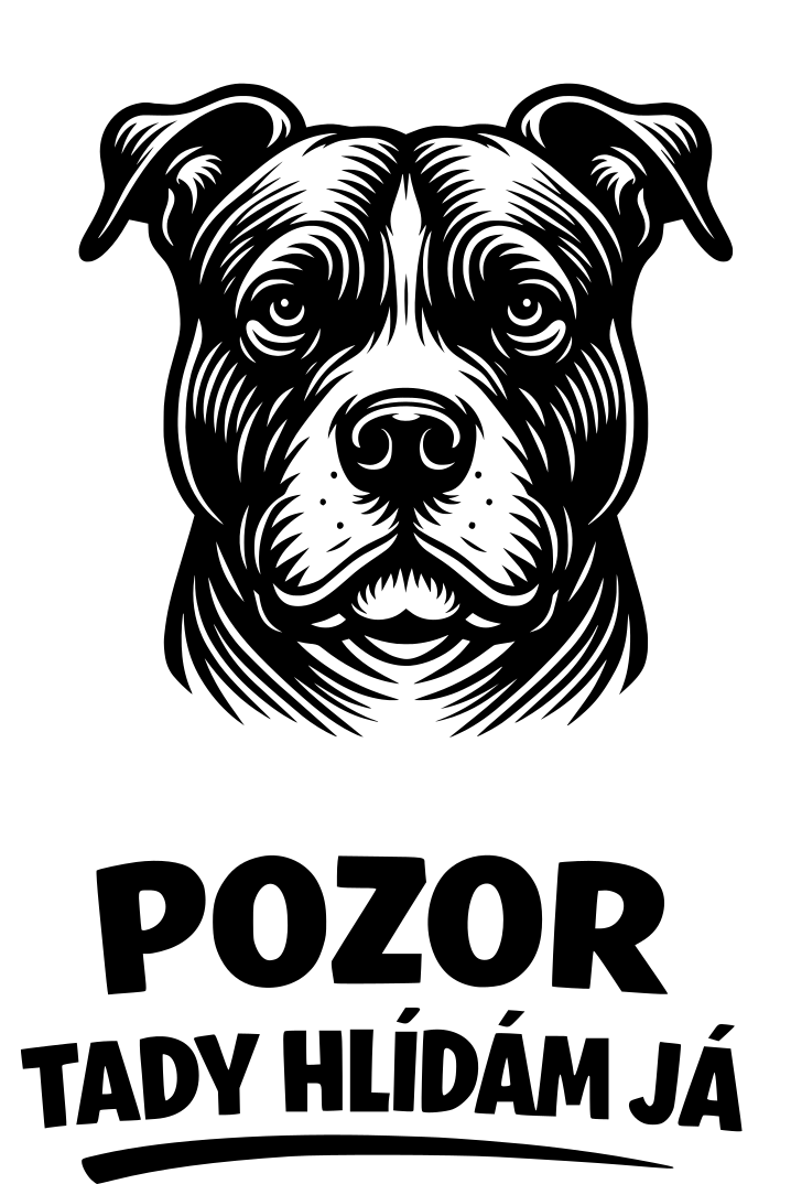 Tady hlídám já