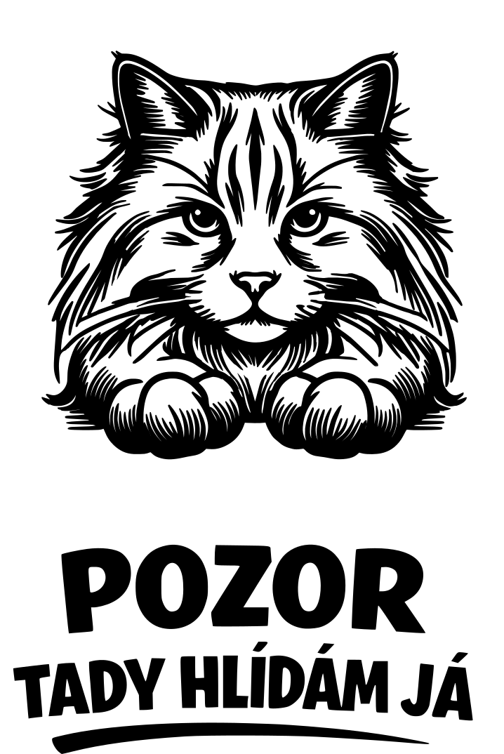 Tady hlídám já