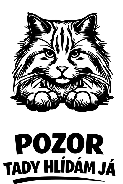 Tady hlídám já