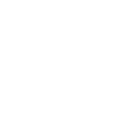 Anglický foxhound