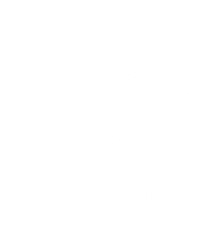 Black and tan coonhound