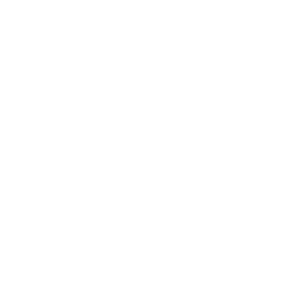 Cardigan Welsh Corgi