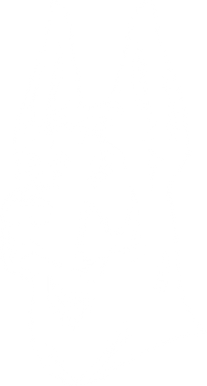 Německý pinč