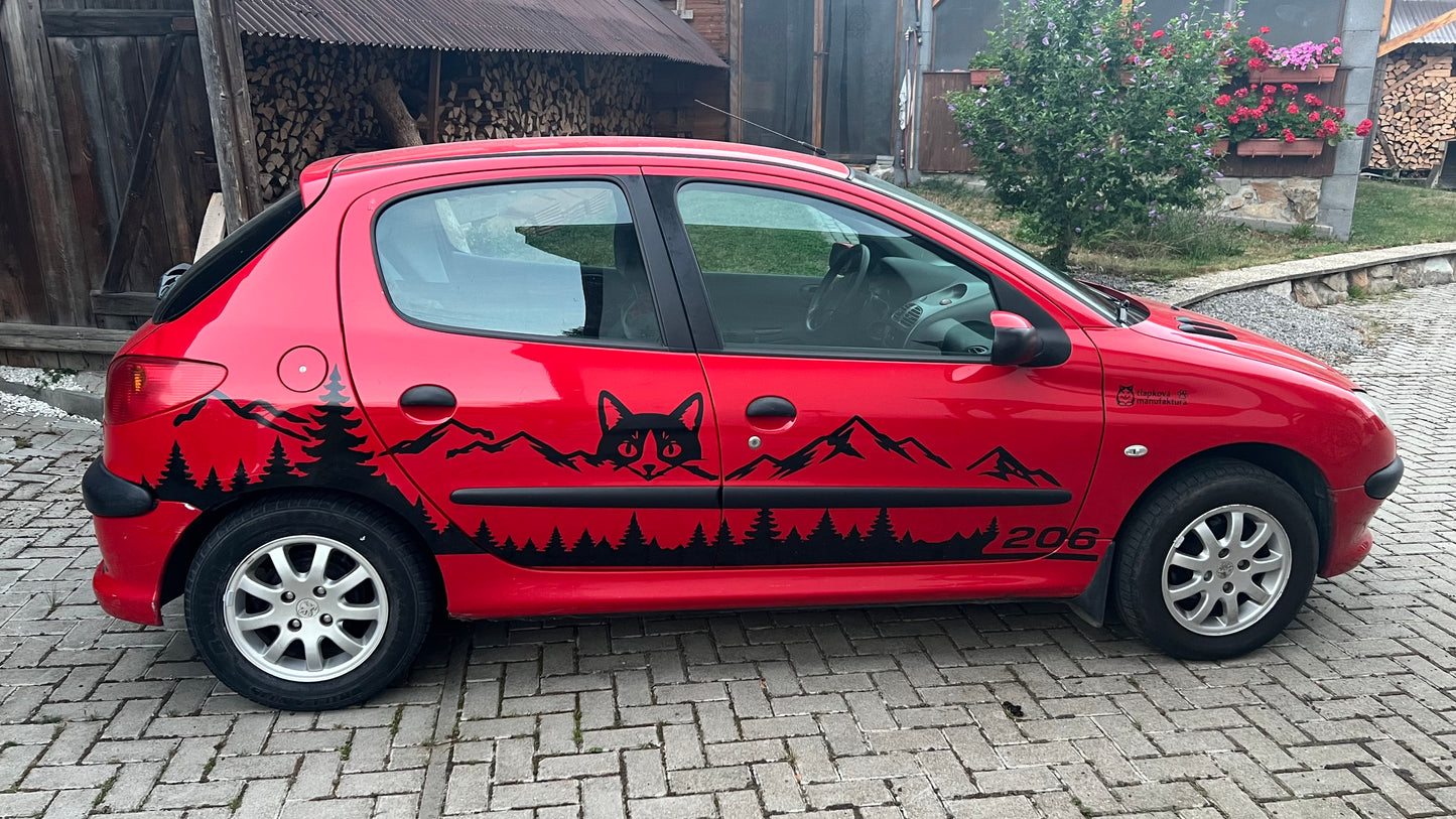 polep_na_auto_peugeot_206