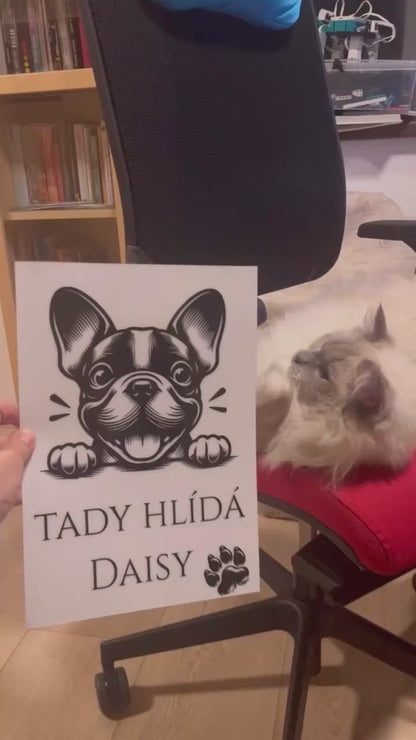 Tady hlídám já