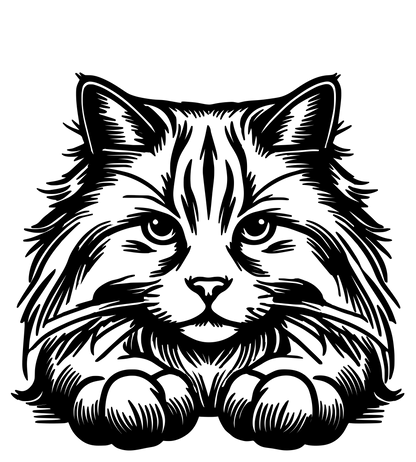 sibirska-kocka-nevska-maskarada